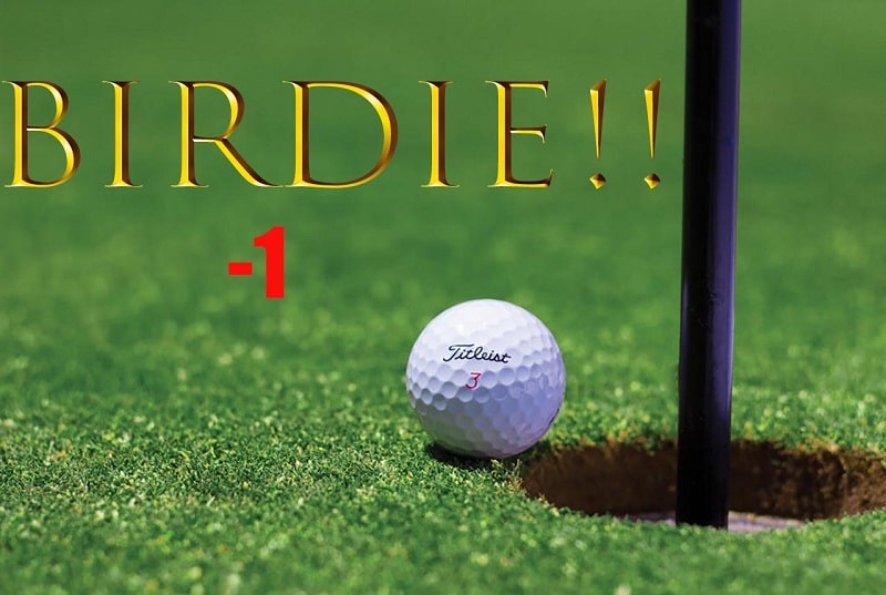 Điểm Net trong bộ môn Golf là gì ? 